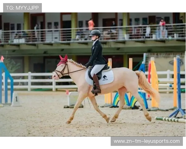 瑞士马术协会授予史蒂夫·古尔达特“年度最佳盛装舞步骑手”称号。